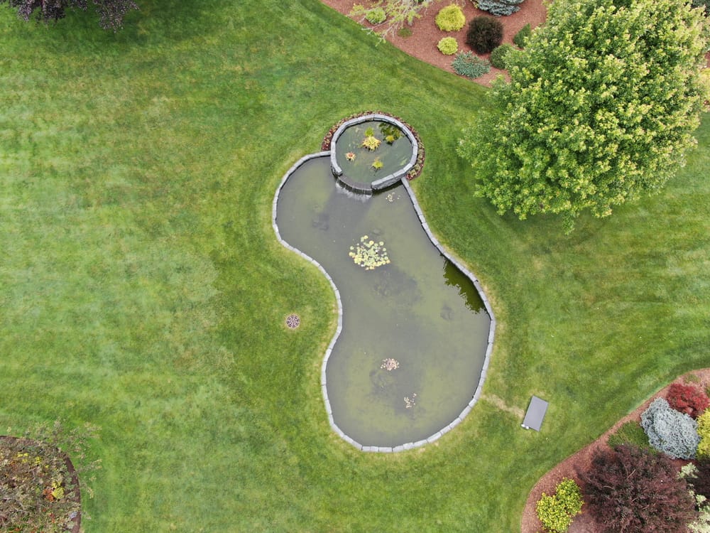 Tree and Shrub Care